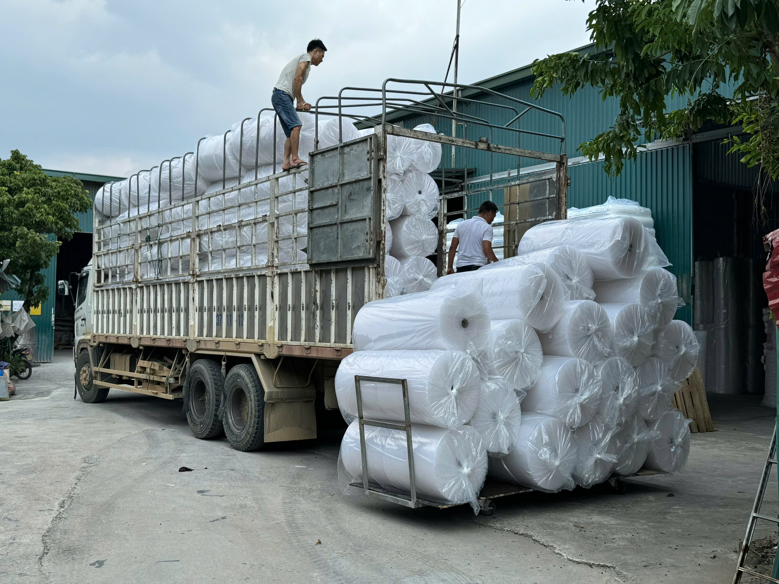 Cuộn xốp nổ THT dùng bọc hàng dễ vỡ, chống sốc
